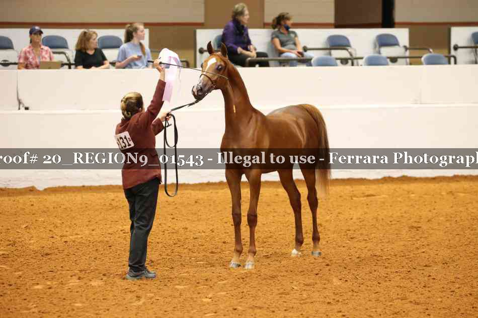 Proof 20_REGION9_01543