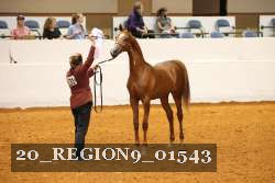 20_REGION9_01543 proof