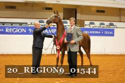 20_REGION9_01544 proof