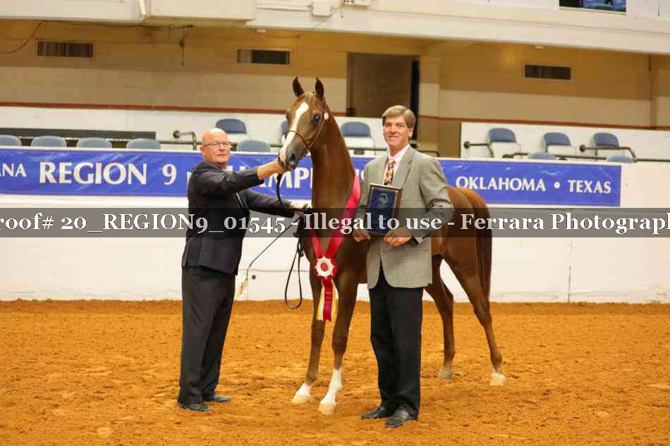 Proof 20_REGION9_01545