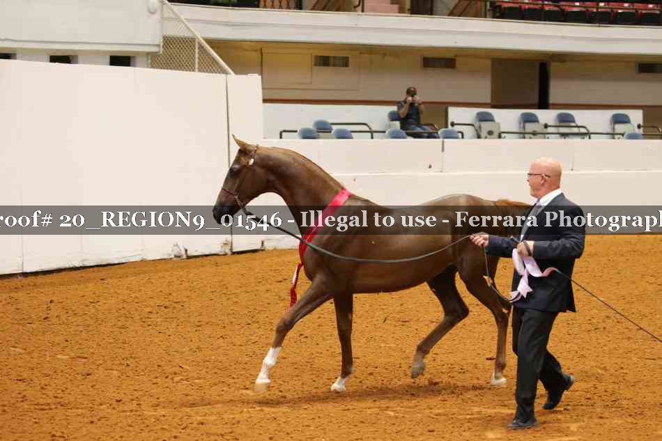 Proof 20_REGION9_01546