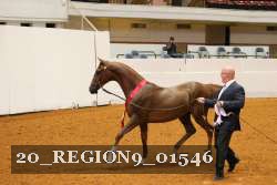 20_REGION9_01546 proof
