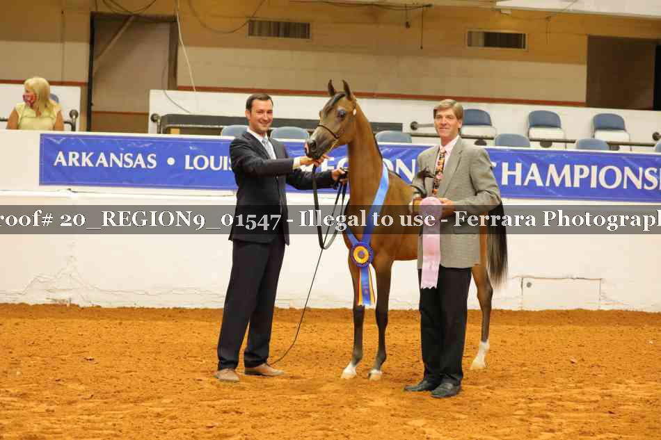 Proof 20_REGION9_01547