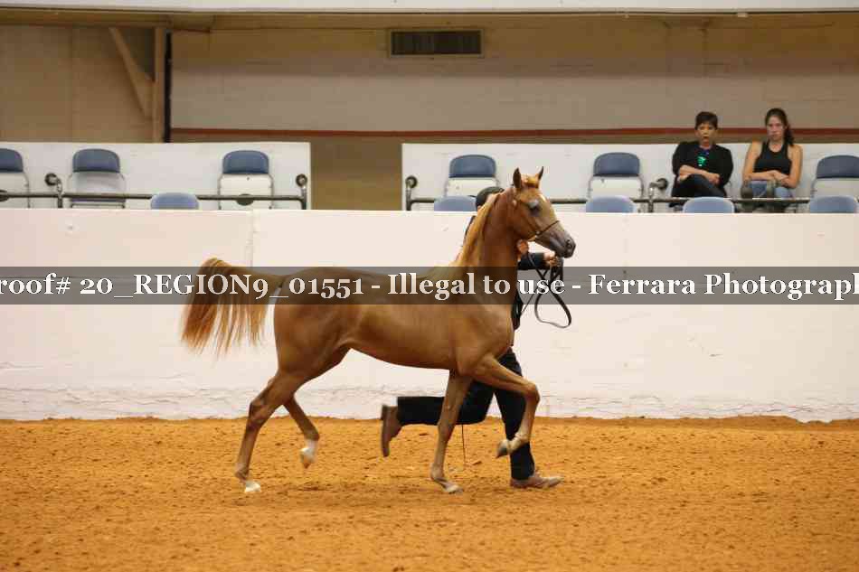 Proof 20_REGION9_01551