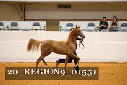 20_REGION9_01551 proof