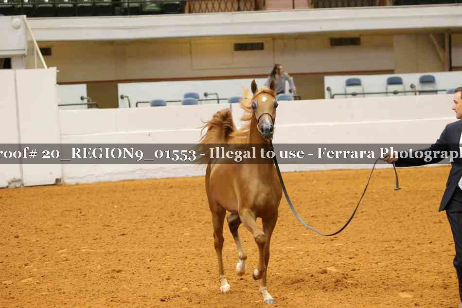 Proof 20_REGION9_01553