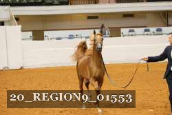 20_REGION9_01553 proof