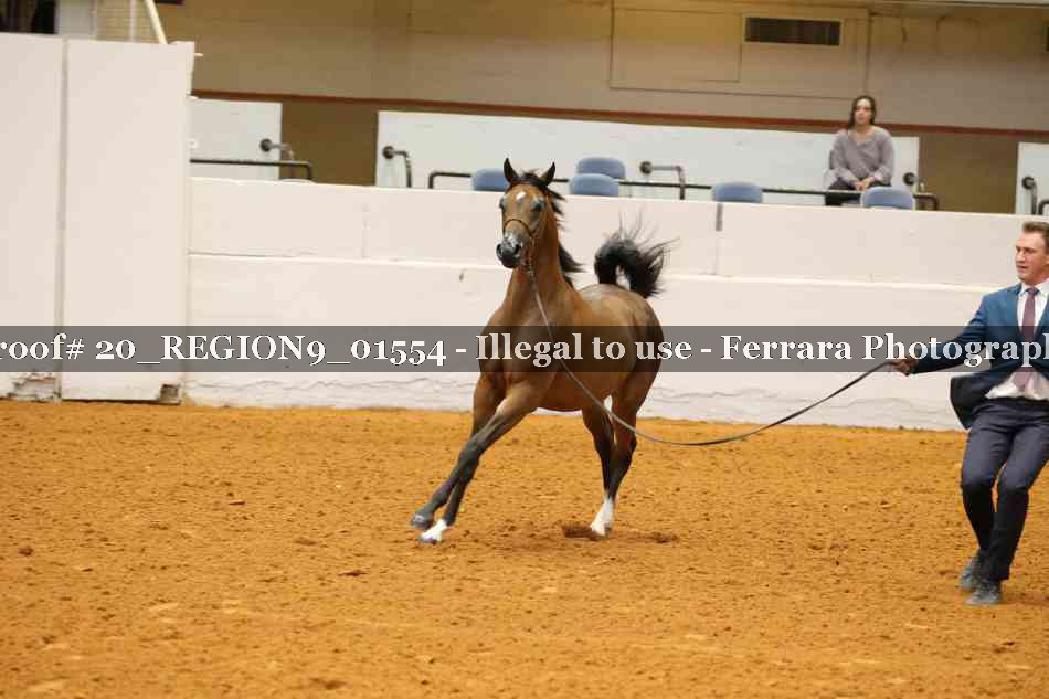 Proof 20_REGION9_01554