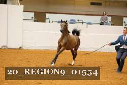 20_REGION9_01554 proof