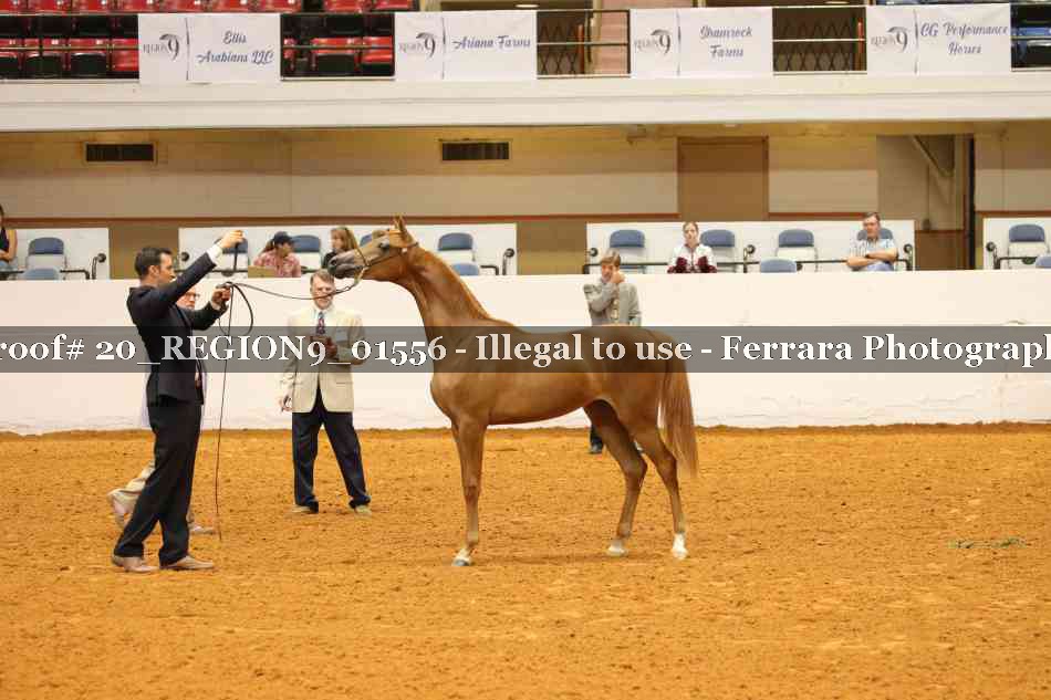 Proof 20_REGION9_01556