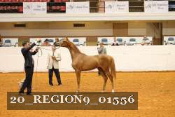 20_REGION9_01556 proof