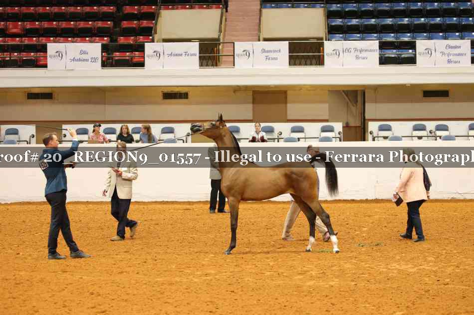 Proof 20_REGION9_01557
