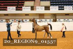 20_REGION9_01557 proof