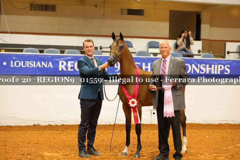 Proof 20_REGION9_01559
