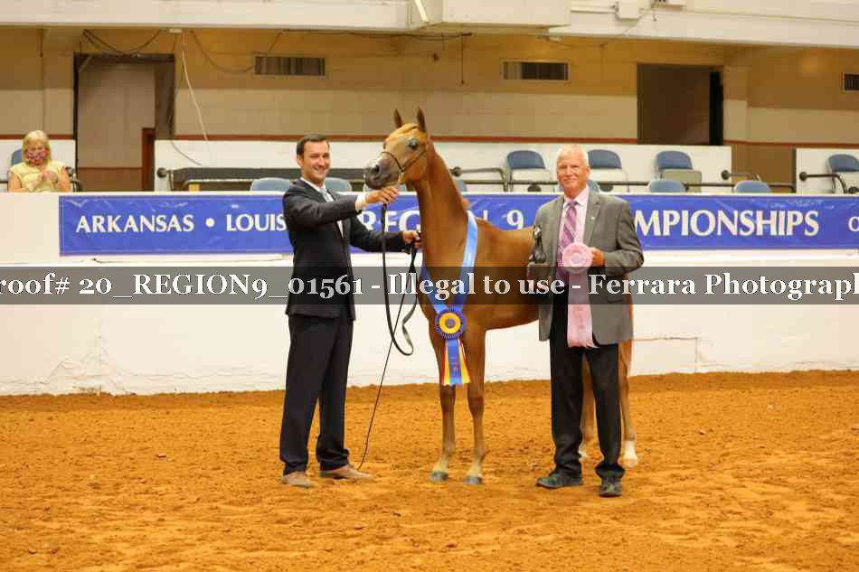 Proof 20_REGION9_01561