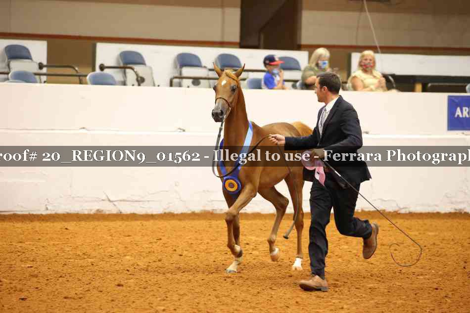 Proof 20_REGION9_01562