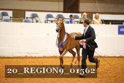 20_REGION9_01562 proof