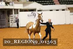 20_REGION9_01563 proof