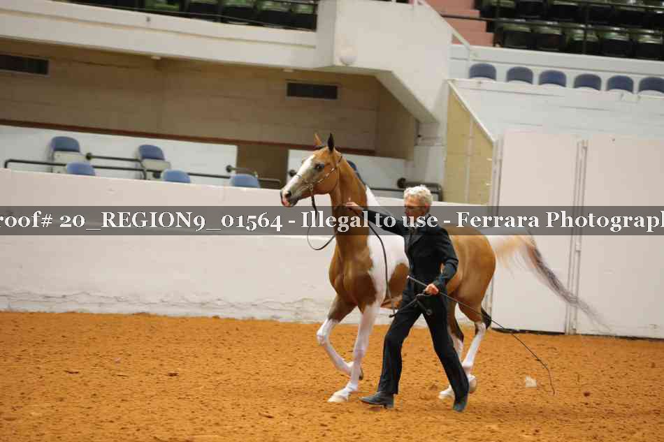Proof 20_REGION9_01564