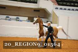 20_REGION9_01564 proof