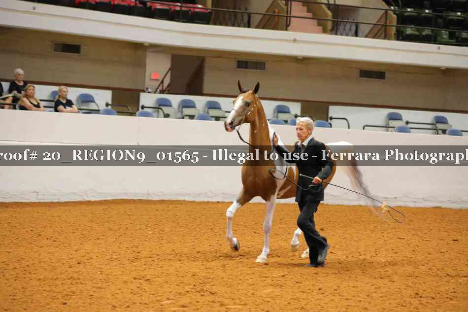 Proof 20_REGION9_01565