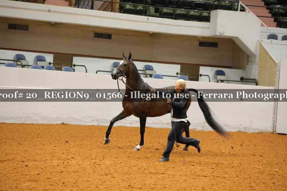 Proof 20_REGION9_01566