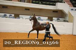 20_REGION9_01566 proof