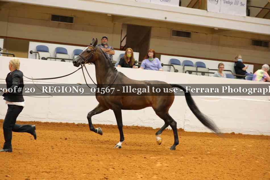 Proof 20_REGION9_01567