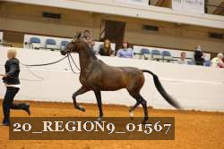 20_REGION9_01567 proof