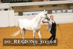 20_REGION9_01568 proof