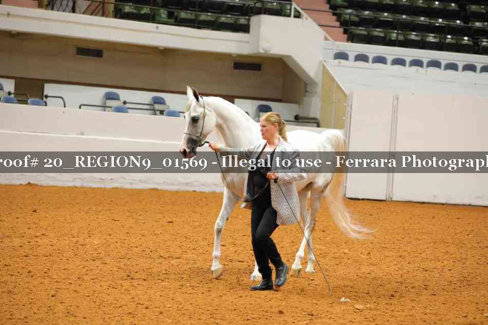 Proof 20_REGION9_01569