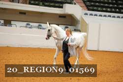 20_REGION9_01569 proof