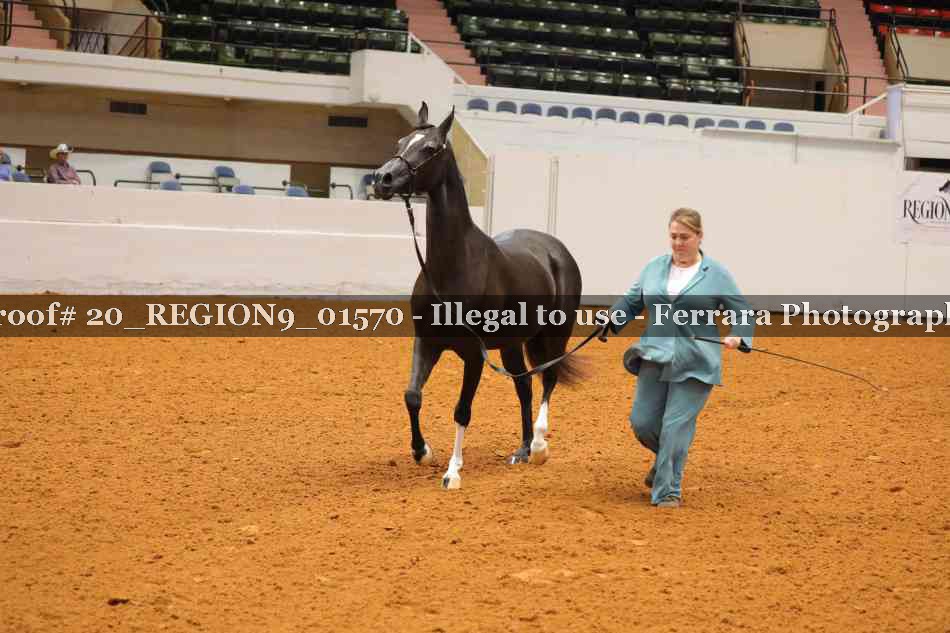 Proof 20_REGION9_01570