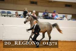 20_REGION9_01571 proof
