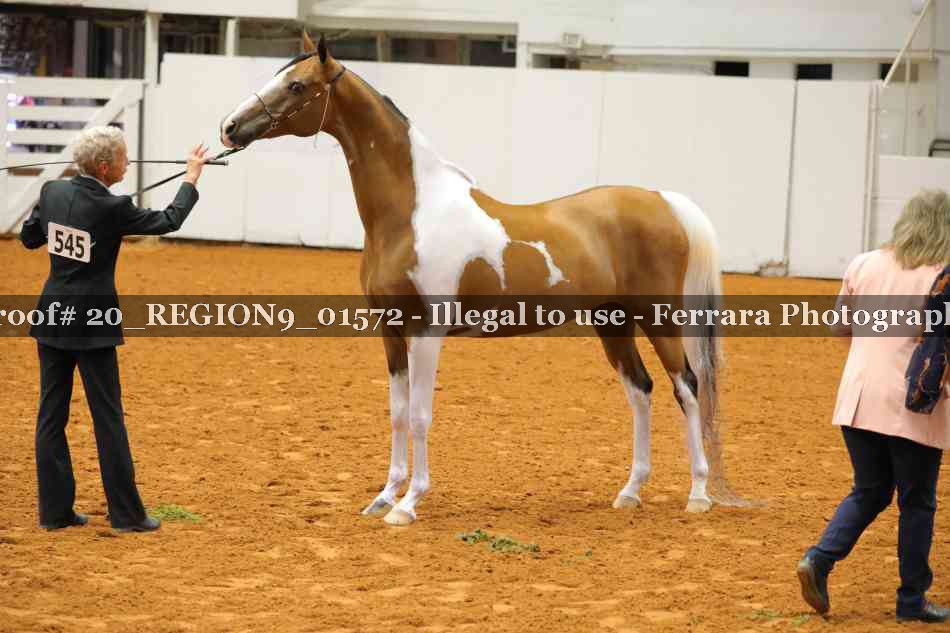 Proof 20_REGION9_01572