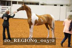 20_REGION9_01572 proof
