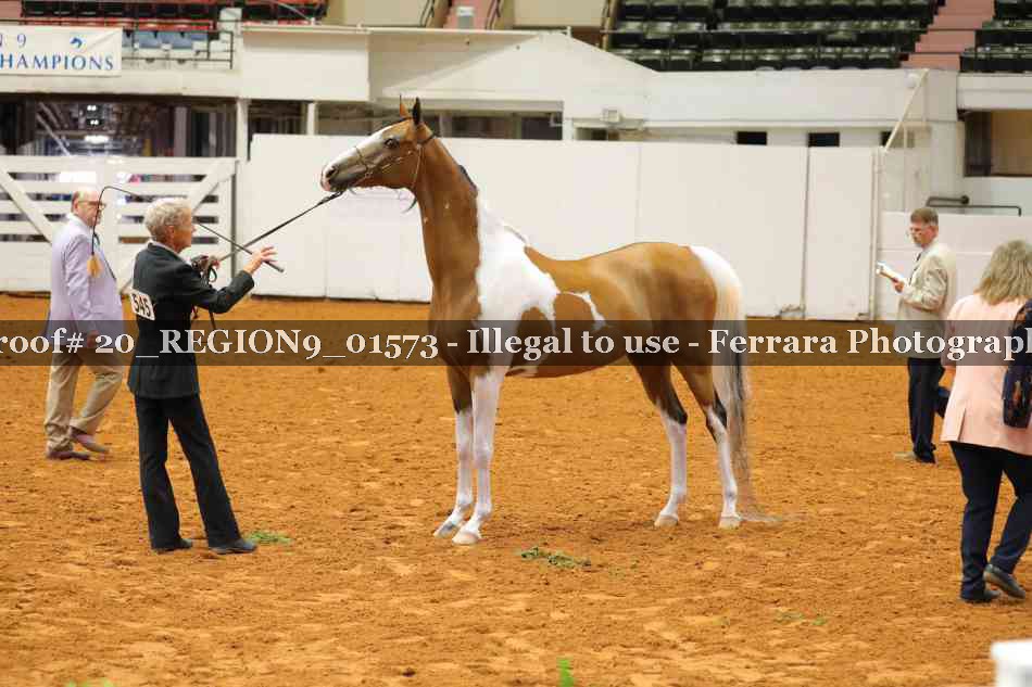 Proof 20_REGION9_01573