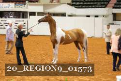 20_REGION9_01573 proof