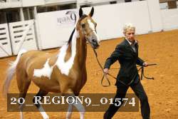 20_REGION9_01574 proof