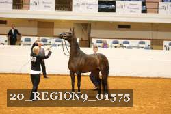 20_REGION9_01575 proof