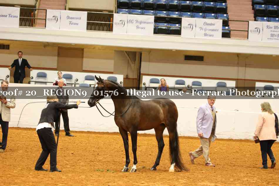 Proof 20_REGION9_01576