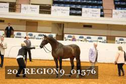 20_REGION9_01576 proof