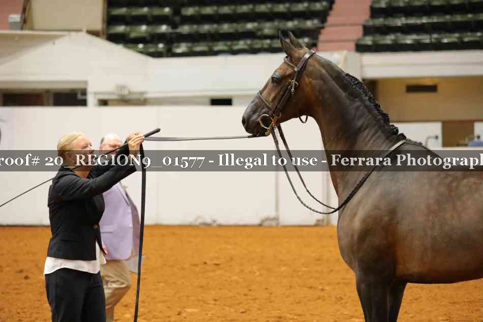 Proof 20_REGION9_01577