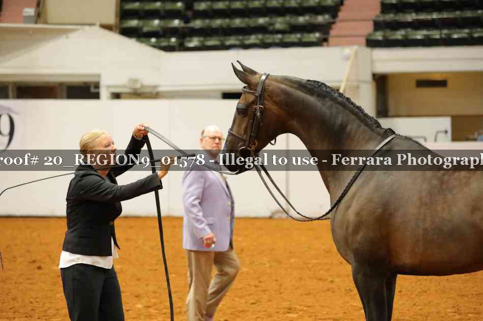 Proof 20_REGION9_01578