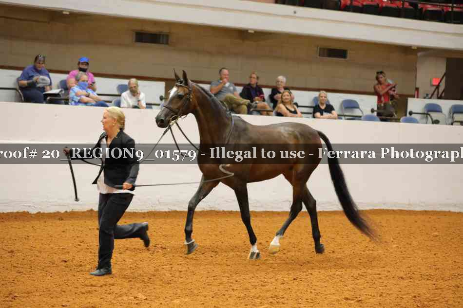 Proof 20_REGION9_01579