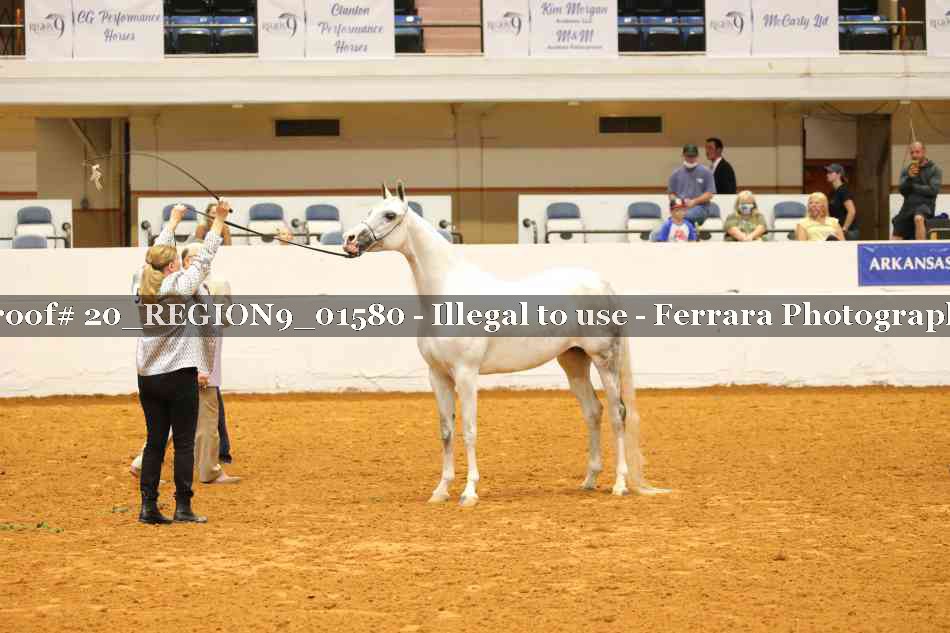 Proof 20_REGION9_01580