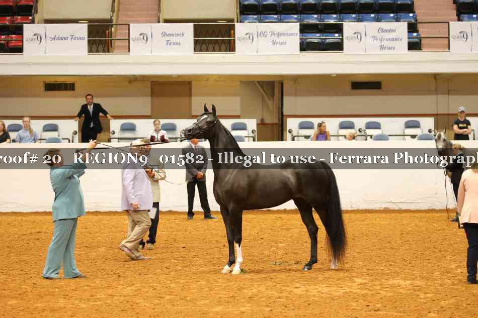 Proof 20_REGION9_01582