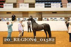 20_REGION9_01582 proof