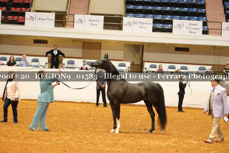 Proof 20_REGION9_01583