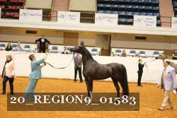 20_REGION9_01583 proof